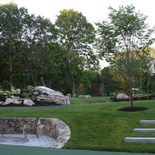 Hydrangea Landscape