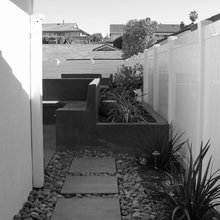 Side yard (dog run)