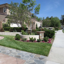 Front Yard Inspiration