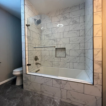 Master Bathroom Remodel