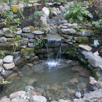 Back Yard Pond - Avon