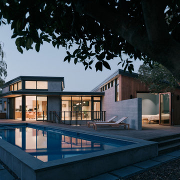 House of Light and Shadow