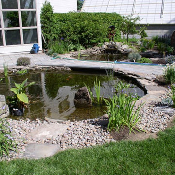 Ponds & Waterfalls