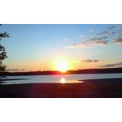 Denise Powell's photo
