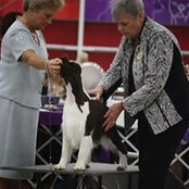 Donna Herzig's photo