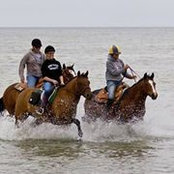 Sue Tew's photo