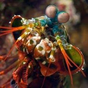 Arnold Dignadice's photo