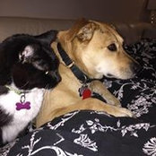 Jason Dupuis's photo