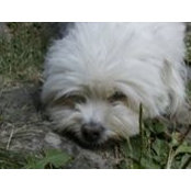 Snejana Draganova's photo