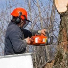 Bush Trimmers