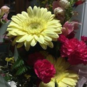 Sharon Rathbun's photo