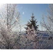 Val MacMillan's photo