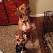 Adam Williams's photo