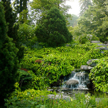 Natural pond/falls