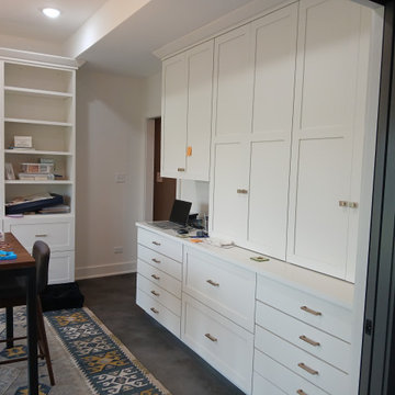 Downers Grove walk out basement remodel