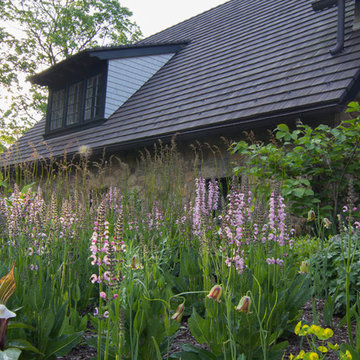 Rain garden and meadow