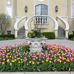 Spring Rotations - Plants