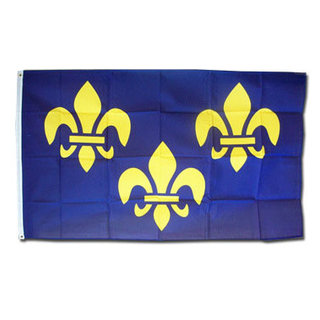 3x5 USA Mardi Gras Purple Yellow Green Fleur De Lis 3'x5