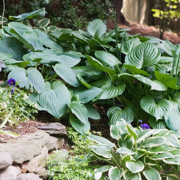 Pondless waterfall