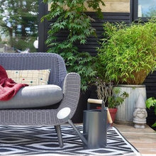 Plants / Patio