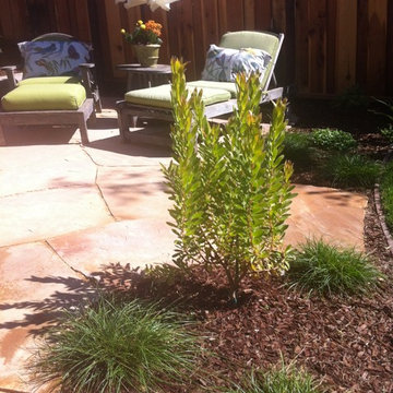 Private garden from Lawn Reduction