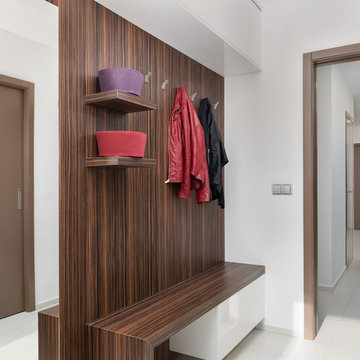 Macassar veneer and brown doors in modern interior