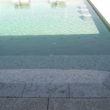 Baja Steps and Beach Entry