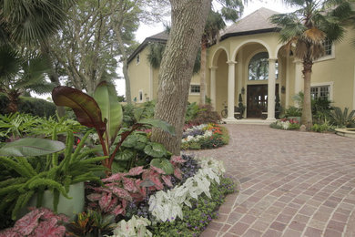 Tropical exterior home idea in Atlanta