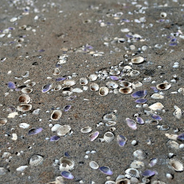 Details