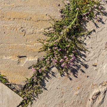 Tiers of Natural Elements