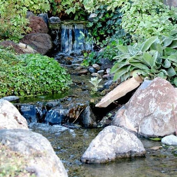 Beautiful Landscaping Work