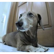 Katherine Karsono's photo