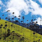 Herbert Brosigs foto