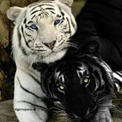 Andrea Hirsch's photo