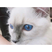 Yue Lou's photo
