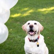 Nancy Stark's photo