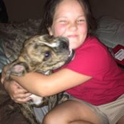 Stephanie Collins-Jaresh's photo