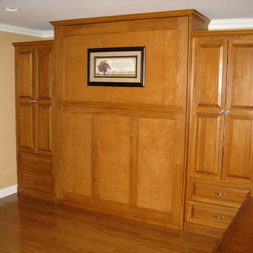 Ellen's Murphy Bed