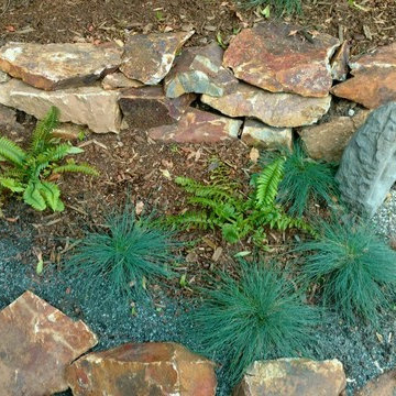 Berkeley Dry Creek