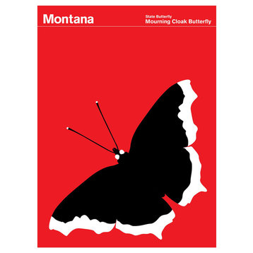 Montana Mourning Cloak Butterfly Print