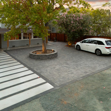 Front & Side Yard