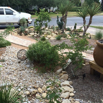 Xeriscape #2