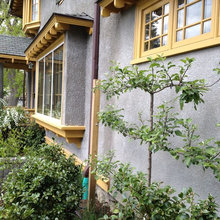 Espalier