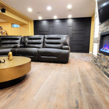 Basement with Fireplace