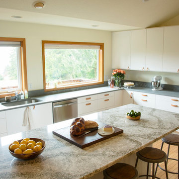 IKEA Kitchen Remodel to Frame Mountain View