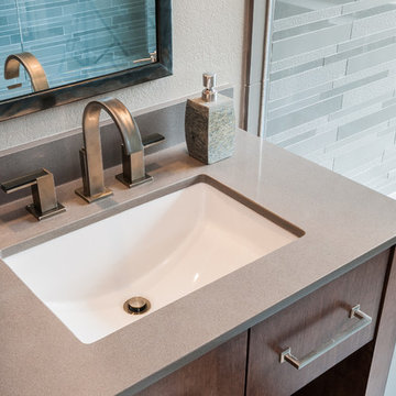 Bachelor Master Bathroom Remodel