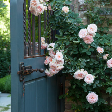 Creeping Roses Around Gate