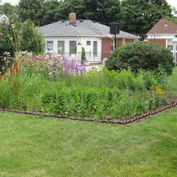 Compilation of Rain Garden Projects