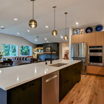 Major Remodels