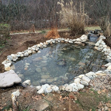 11' x 16' Aquascape Backyard Pond - Wolcott